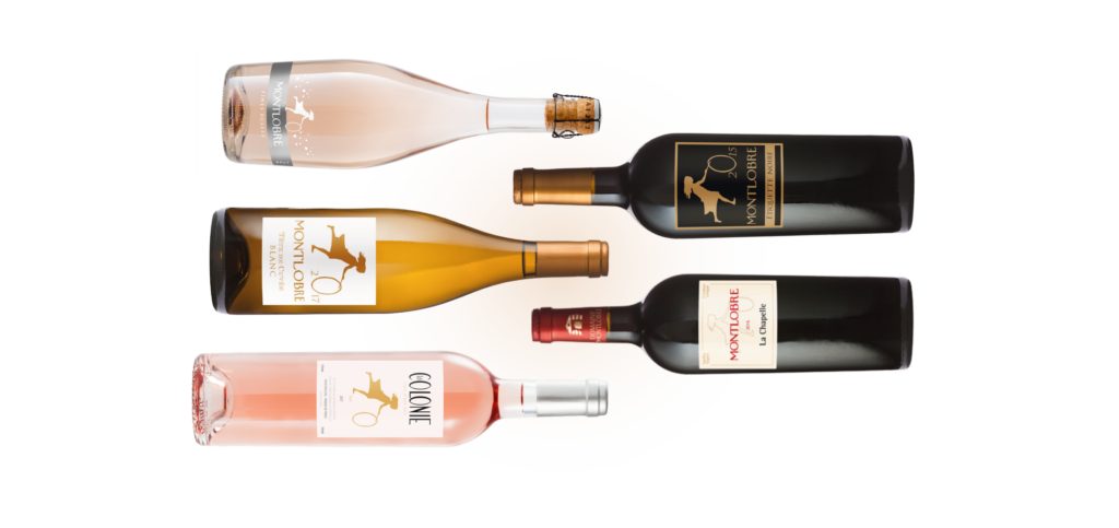 Vins