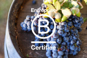 Montlobre B Corp