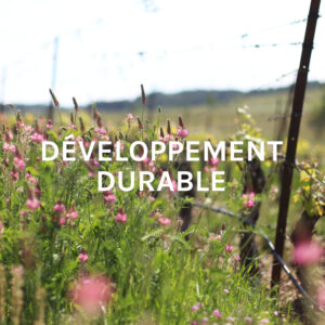 Montlobre Développement Durable